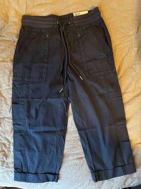 NWT Natural Reflections Navy Cargo Capri Pants Size 2